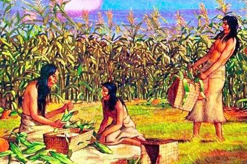 Atider - La trilla es parte de la cosecha en los cultivos. Es una actividad  que se realiza hace siglos y que, en algunas partes del mundo, es motivo de  celebración. Significa